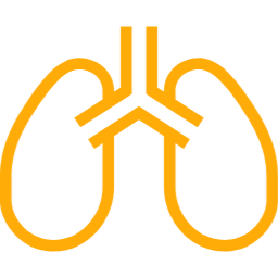 肺のアイコン